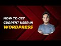 How to Get the Current User in WordPress?