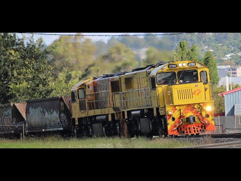 Aurizon coal trains and light engine