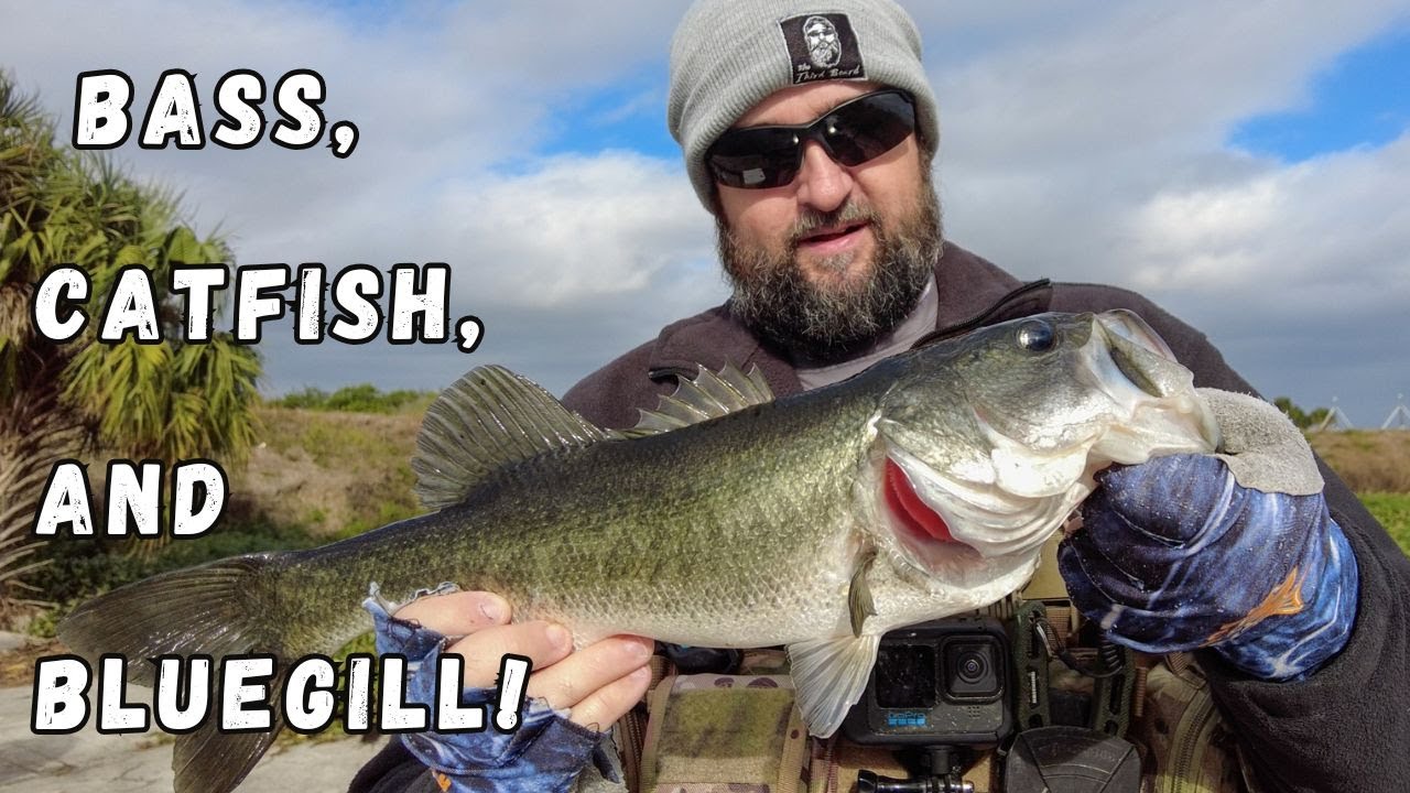 Freshwater fishing for Winter Bass, Catfish, Bluegill, and Bowfin!