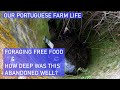 FORAGING FREE FOOD & AN ABANDONED WELL - ON OUR PORTUGUESE FARM -FUNDAO HOMESTEAD - BUILDING FENCING