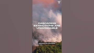 Supercomputer Predicts Mass Extinction By 2100 #shorts