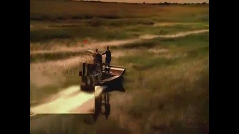 Pony thread simulator v0.03