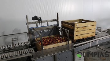 OLIMPIAS S.A. | Grading - processing and sorting line for apples.