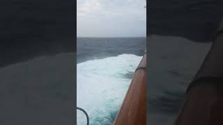 1080918太陽公主號遊輪甲板上觀賞洶濤大浪