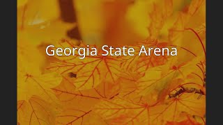 Georgia State Arena