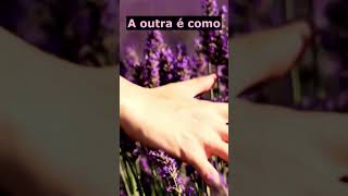 Existem Apenas Duas Maneiras De Viver A Vida