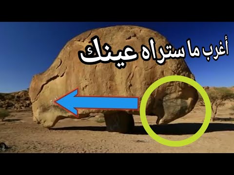 أقوى تحليل 6 صور تبدو عادية وهي تحمل معاني عميقة لن تفهمها لأول مرة