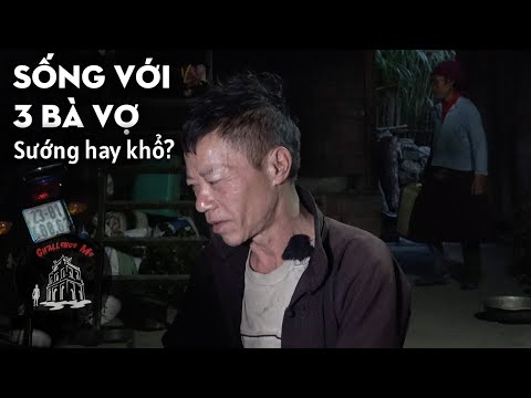 Video: Hàng Rào Sống. Các Tùy Chọn Lựa Chọn Thảm Thực Vật