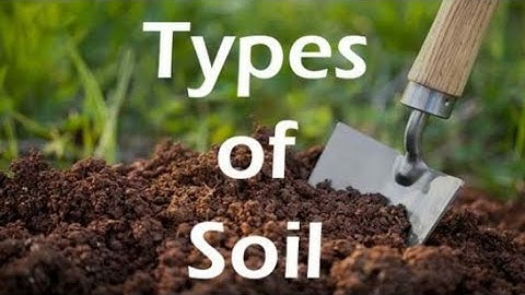 Class-4 Chapter-10 OUR SOIL RESOURCES