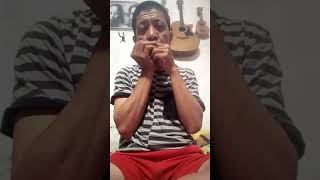 Intro Maafkan Slank Harmonica Cover
