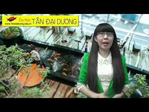 Video Khi đi du lịch Singapore bạn cần chú ý những gì? - YouTube