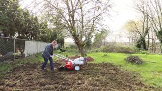 The Beauty Of Spring Tilling