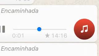 Sai Cachorro Derensa vei daquiKKKK🤣🐕💨
