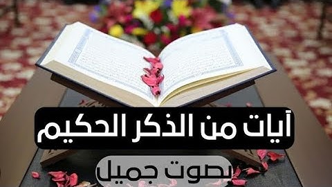تلاوة عطرة من الذكر الحكيم/خمس ساعات متواصلة بدون إعلانات