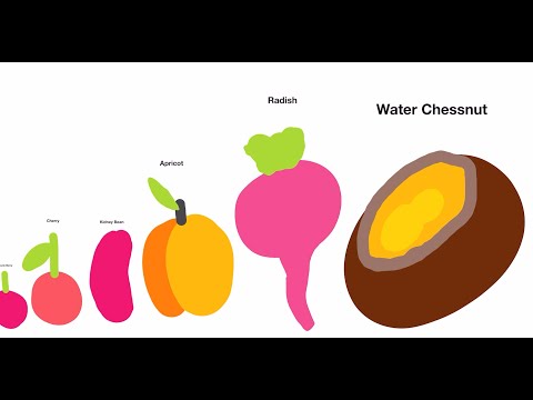 Infinite Zoom Art Fruit And Vegetables Size Comparison by Pecho #endlesspaper