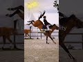 Rating failss! #horse #equestrain #horsefail #horseriding #horselover #sport #funny #fypシ゚