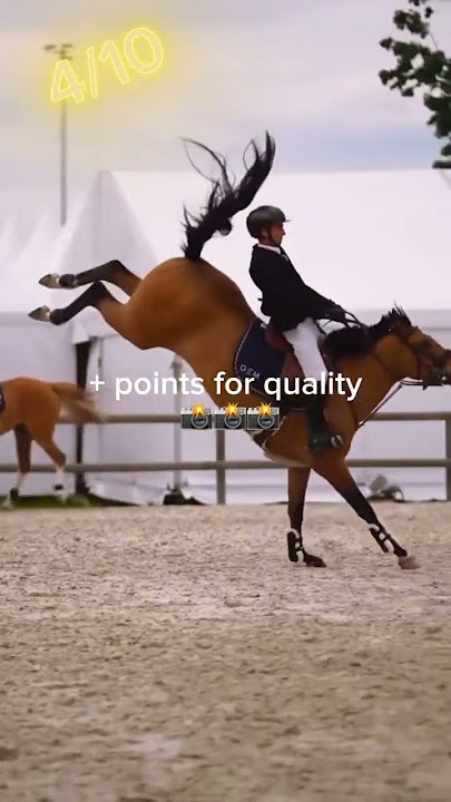 These riders are so good #horse #equestrain #horsefail #horseriding #horselover #sport #funny #fypシ゚