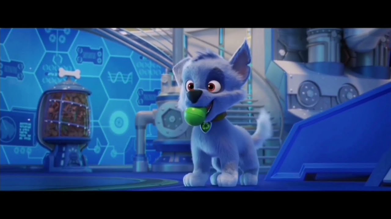 Paw patrol The movie 2021 Rocky scene YouTube