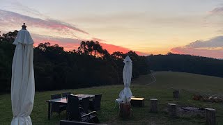 Balcioglu Stud Farms Introduction