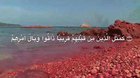ماشاء الله تبارك الله||هيثم الدخين||تلاوة حزينة.