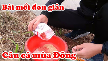 Chia sẻ với các bác bài mồi câu cá mùa Đông siêu đơn giản - câu cá, câu đài