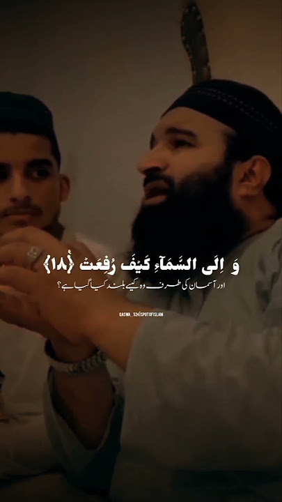 Most beautiful recitation of Quran|Qari Hammad| #quran #quranrecitation