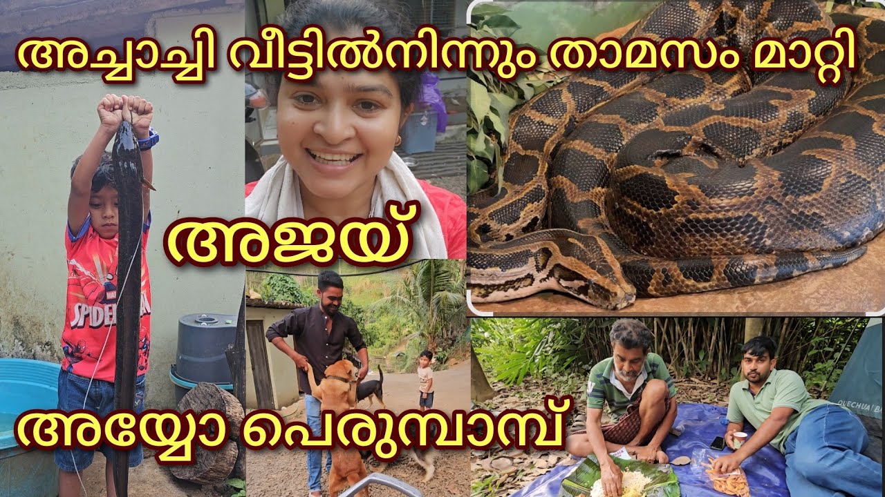 ദൈവമേ,എന്തൊക്കെയാ ഈ നടക്കുന്നത്???
