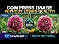 Compress Images File Size and Format for Blogs/News Websites/Web Pages (Fast WEBP File Conversion)