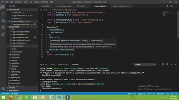 8.How Angular app gets loaded and started