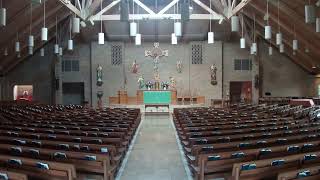 9:00am Mass from Holy Cross Catholic Church (July 4, 2026)