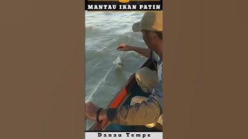 Mantau Ikan Putih Part 4 | Danau Tempe