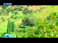 Dengê Botan- Germava Elkê