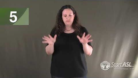 ASL 1 Unit 6 - Statement Practice 6.2