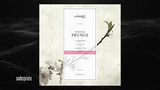 Versible - Serotina Original Mix Sub.rec.17