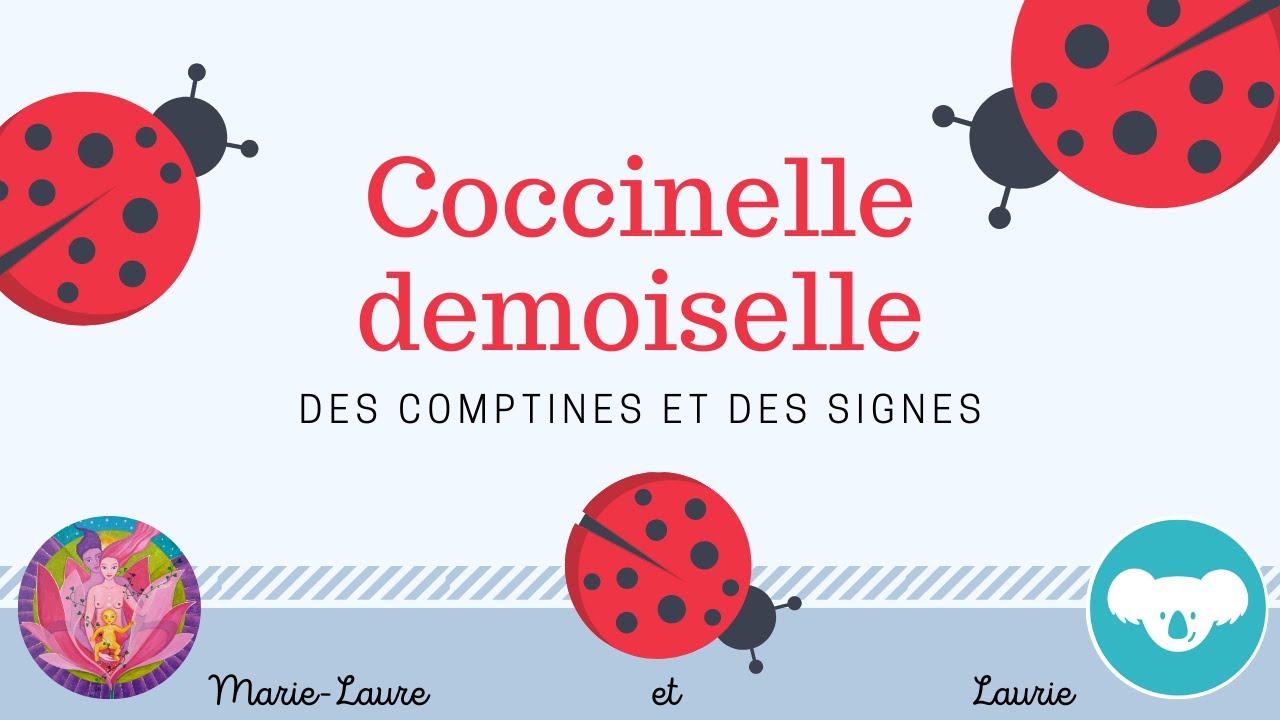 Coccinelle demoiselle - DES COMPTINES ET DES SIGNES