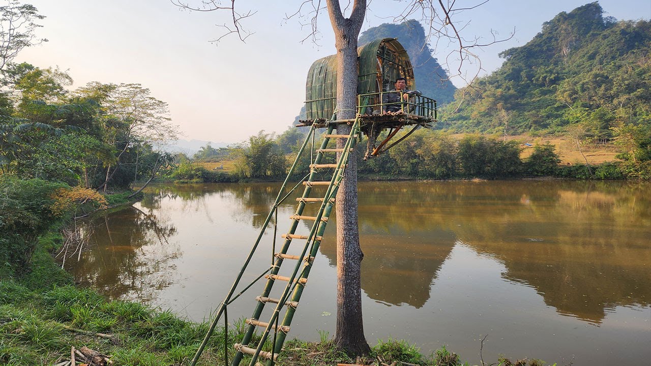 Full video Time Lapse: 1,000 Hours Spent Building the Most Impressive Treehouses