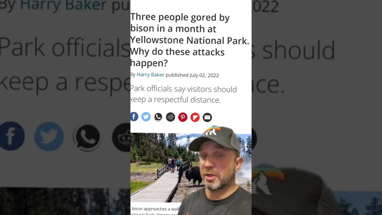 Deaths at Yellowstone #shorts