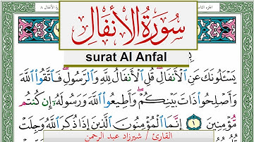 سورة الأنفال شيرزاد عبد الرحمن طاهر Surah Al Anfal Sherzad Taher برواية حفص عن عاصم