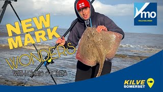 NEW MARK WONDERS with Chris Stokes