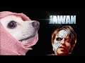 Jawan trailer dog version  jawan prevue spoof