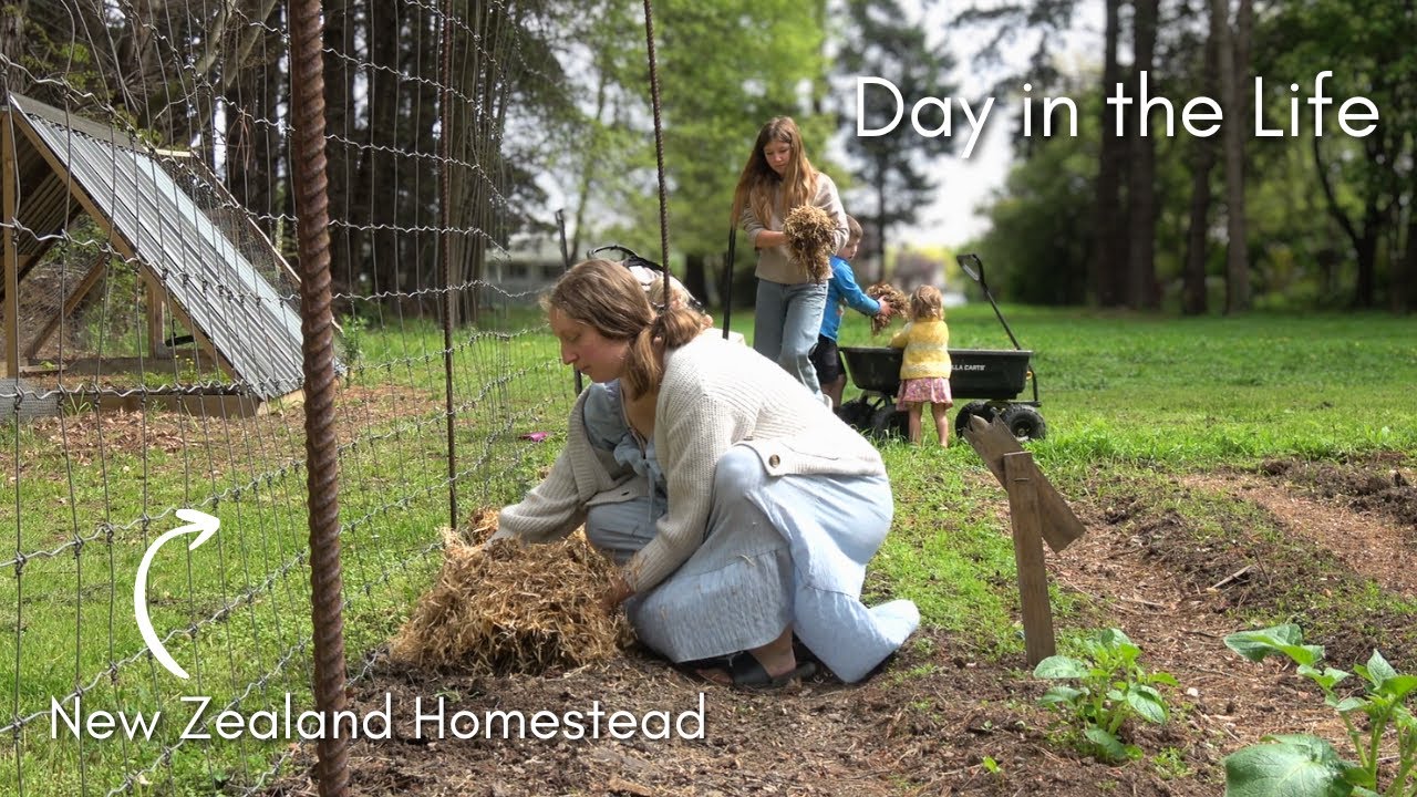 Day in the Life on our New Zealand Homestead