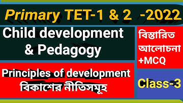 Primary TET-1 & 2 || Principle of Development||বিকাশের নীতি|| শিশু  ও বিকাশ||CDP||Concept ||