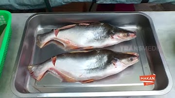Menikmati Kuliner Khas Kalimantan di Ikan Patin Bakar Sinar Berlian | MAKAN RECEH (28/06/21)