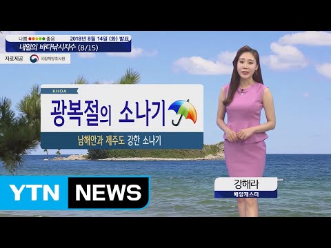 [내일의 바다낚시지수] 8월15일 폭염 쉬어가는 소나기 소식, 강풍 영향 대부분 '나쁨'  / YTN