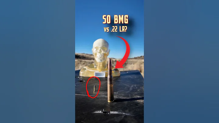 50 BMG Vs .22 LR (Dummy Head Explosion Test)