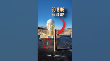 50 BMG Vs .22 LR (Dummy Head Explosion Test)