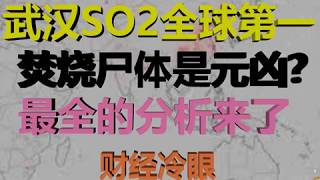 财经冷眼：武汉二氧化硫狂飙全球第一， 焚烧尸体是元凶？最全最真实的分析来了！（20200210第250期）