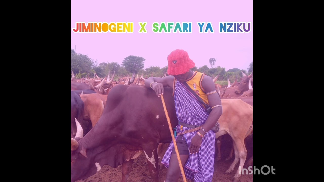 JIMINOGENI X SAFARI YA NZIKU SONG BHASHABIKI