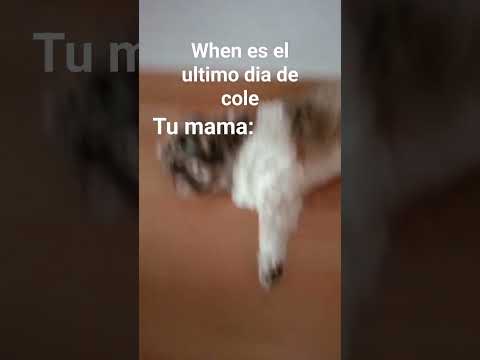 ผลสลากกินแบ่งรัฐบาล วันที่ 1 พย. 2567