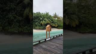 Nsisiboo 2023 Jaan Ge Kai